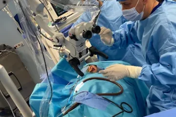 Professeur Ghailan Rachid